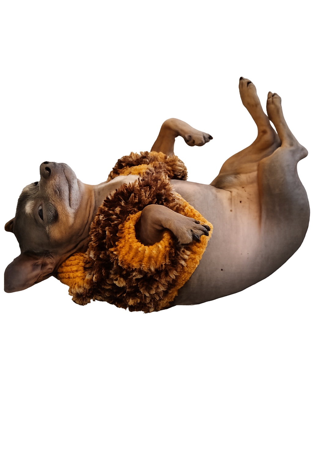 Dobby from the Rescue Nexus Founding Pack